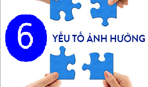 Những yếu tố ảnh hưởng đến hoạt động cung cấp dịch vụ công tác xã hội đối với người tâm thần tại các cơ sở trợ giúp xã hội công lập