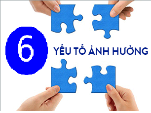 Những yếu tố ảnh hưởng đến hoạt động cung cấp dịch vụ công tác xã hội đối với người tâm thần tại các cơ sở trợ giúp xã hội công lập