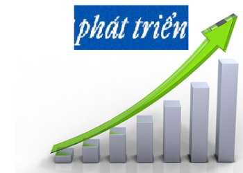 Một số biện pháp nhằm cung cấp tốt hơn và phát triển dịch vụ công tác xã hội đối với người tâm thần