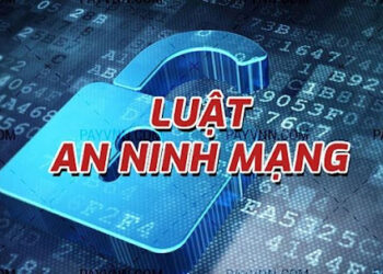 Phòng ngừa, chống vi phạm pháp luật và tội phạm trên mạng Internet