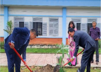 Tổ chức hoạt động “Tết trồng cây nhớ ơn Bác Hồ” năm 2022