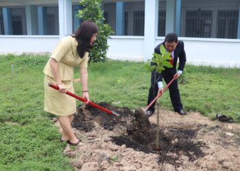 Gặp mặt đầu năm và hưởng ứng Tết trồng cây “Đời đời nhớ ơn Bác Hồ ” Xuân Quý Mão năm 2023